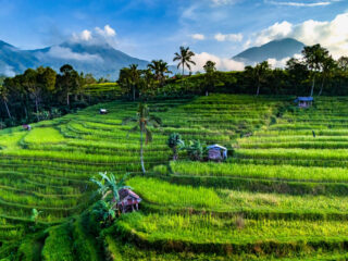 Bali’s Jatiluwih Remains Open For Tourist Despite Protests From Local Land Owners