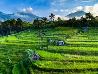 Bali&rsquo;s Jatiluwih Remains Open For Tourist Despite Protests From Local Land Owners