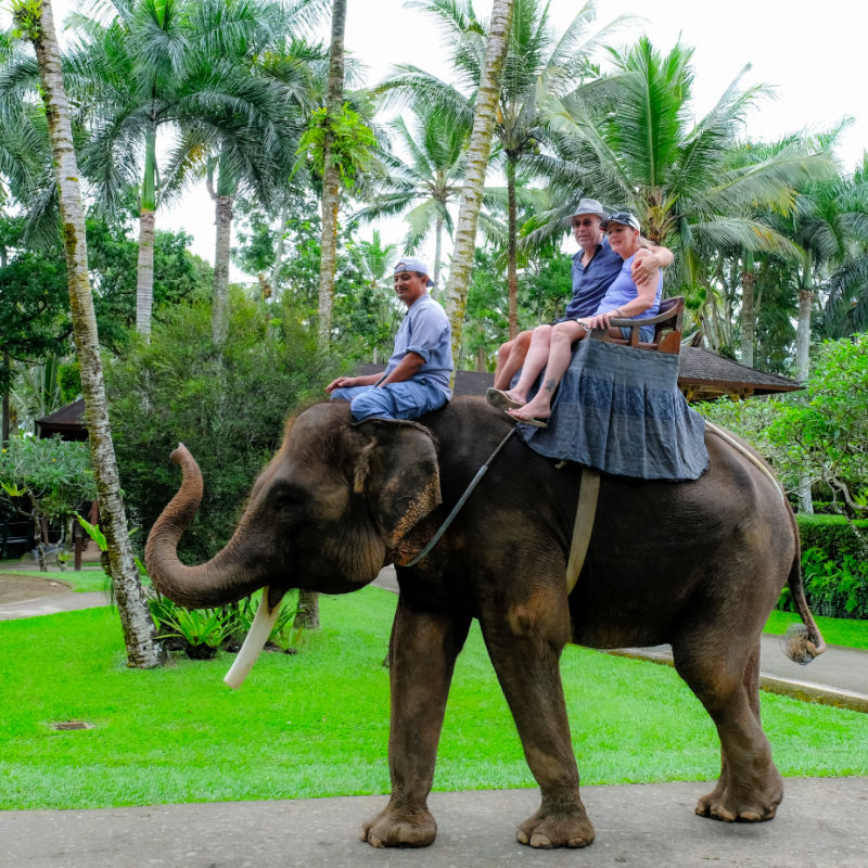 Elephant Ride in Bali