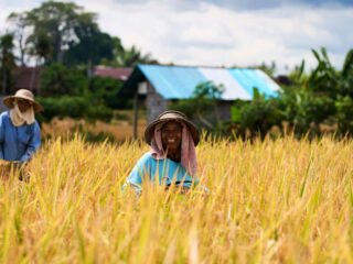 Food, Farming & Wellness Will Be Key Bali Travel Trends In Bali In 2026