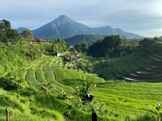 New Flight Connects Bali Tourist With Wonders Of East Java