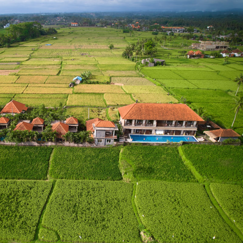New villas in Bali Rice Paddies