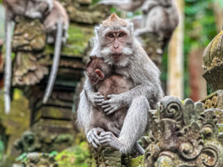 One Killed And Major Damage Recorded At Top Bali Tourist Attraction 