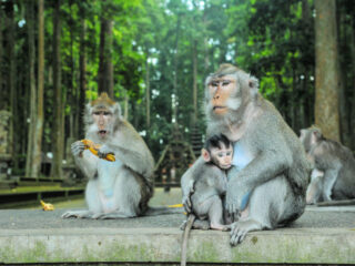 Top Bali Tourist Destinations Increase Insurance Cover To Protect Holidaymakers&nbsp;