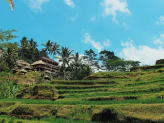 Does The Daymaxxing Travel Trend Pay Off For Bali Tourists? Here’s What Travelers Need To Know