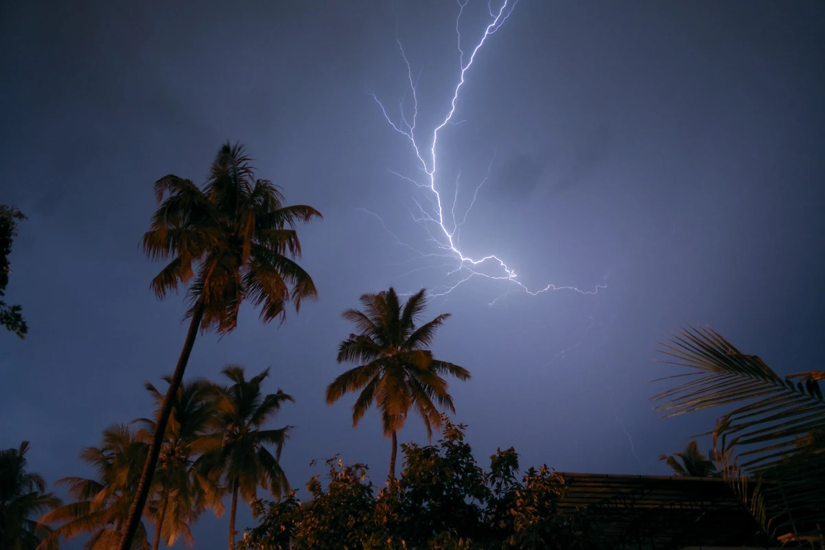Lightening Storm Over Palm trees.jpg
