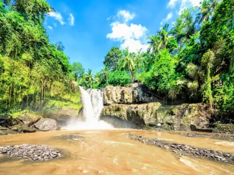 Tegunungan Waterfall in Bali.jpg