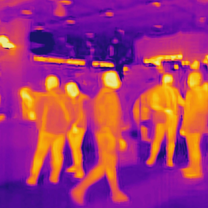 Thermal Scanner Image.jpg