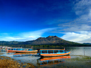 Bali Vows To Tackle Pest &lsquo;Pandemic&rsquo; Affecting Popular Tourism Hotspot&nbsp;