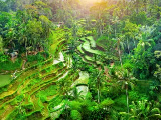 Bali&rsquo;s Top 3 Destinations Are Unmissable For First Time Tourists In 2026