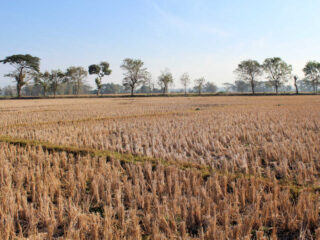 Bali At Risk Of Drought During Dry Season Despite Devastating Rainy Season In Top Tourist Destinations&nbsp;