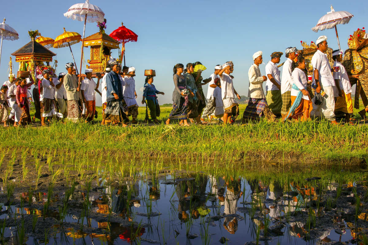View of Balinese People in Melasti Parade Over Rice Paddie Cultural Event .jpg