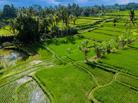 Tourism Minister Impressed With Quality Experiences On Offer In Bali