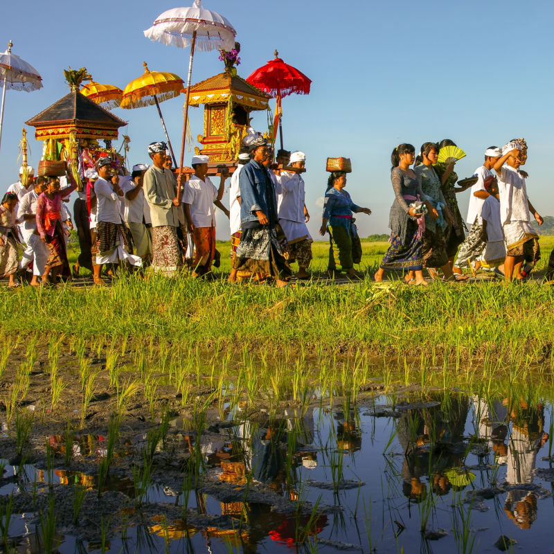 View of Balinese People in Melasti Parade Over Rice Paddie Cultural Event