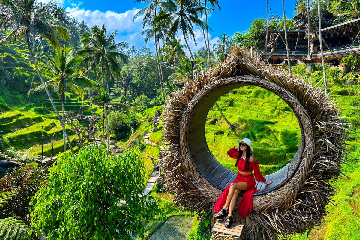 Tourist At Bali Swing at Rice Terrace.jpg