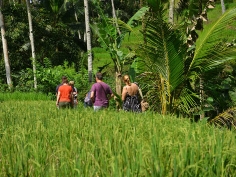 More Than Beaches: Bali Tourists Encouraged To Visit Islands Gorgeous Green Landscapes