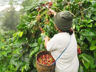 Bali&rsquo;s Culinary Heritage Offers Way To Boost Tourism And Protect Nature