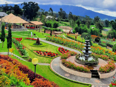 Bali’s Most Beautiful Tropical Gardens Are Impressing Tourists Right Now