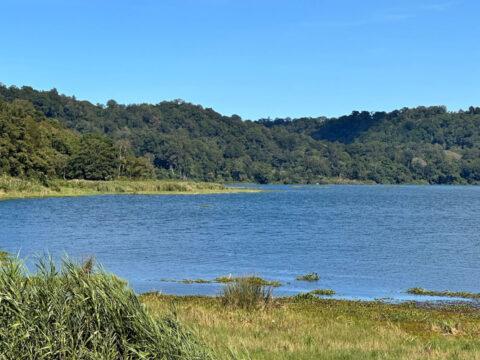 New Lake Destination In Bali Offers Tourists Crowd-Free Nature Escapes&nbsp;