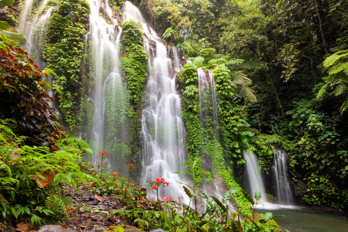 Waterfall in North Bali.jpg