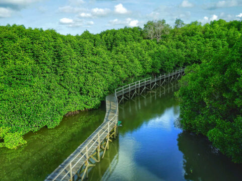 New Ecotourism Initiative Attracts Bali Tourists To Unexplored Areas