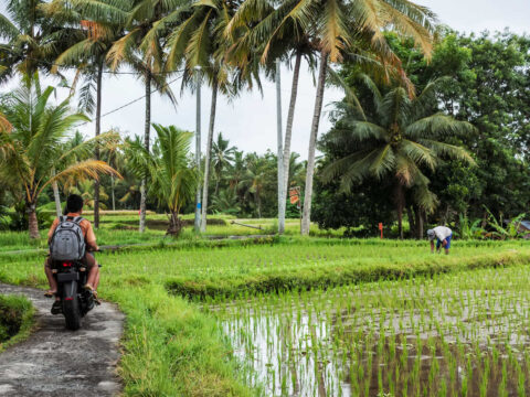 Slow Travel Itineraries In Bali Highlight Hidden Gems And Secret Spots For Attentive Travellers