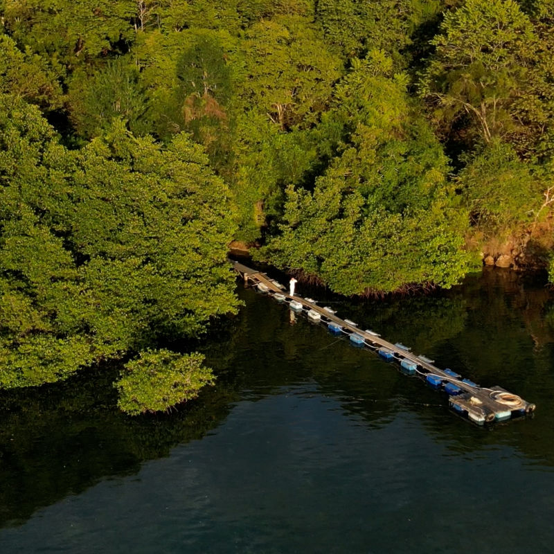 Northwest Bali Trail 2.jpg
